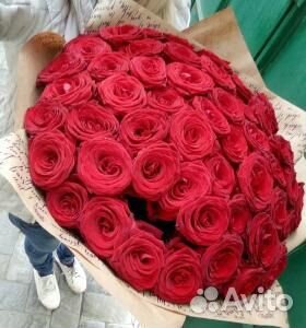 Свежие Розы - 51 шт Красные Эквадор