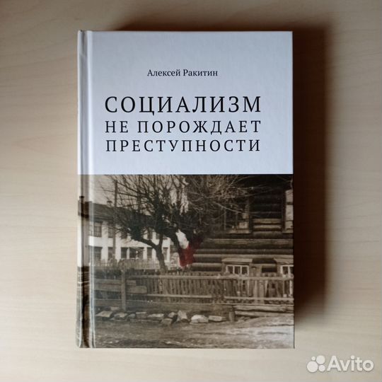 Алексей Ракитин - Социализм не порождает преступно