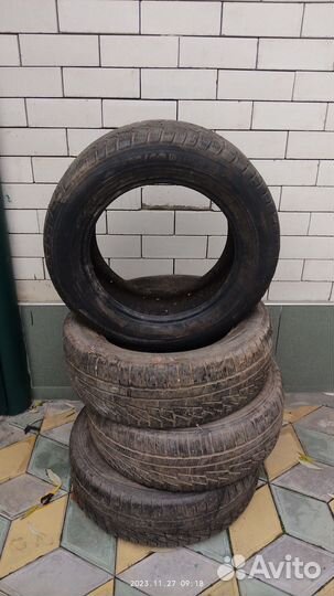 Nokian Tyres Hakka H 215/60 R16 99H