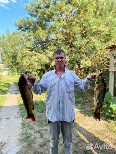 Рыбалка В астрахани