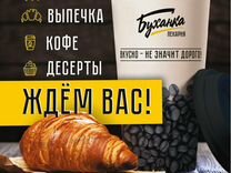 Продавец бариста с ежедневной оплатой