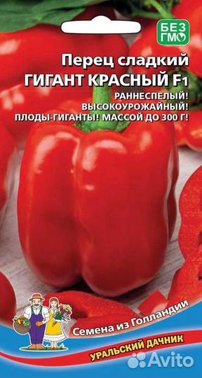 Перец болгарский рассада