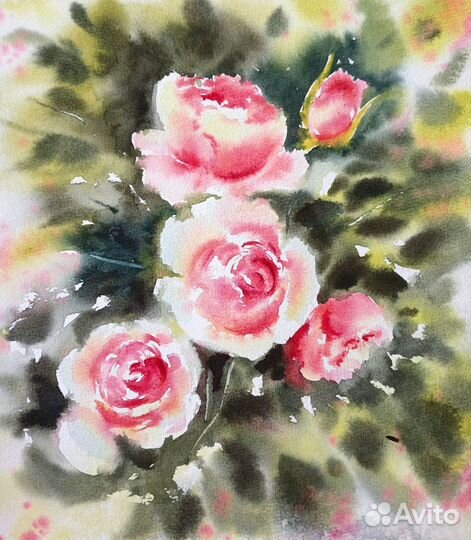 Розы акварелью