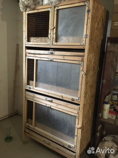 Брудера для птицы