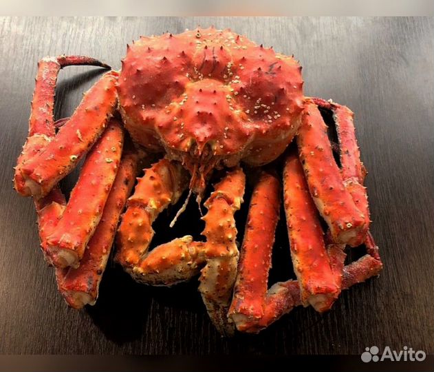 Краб Камчатский