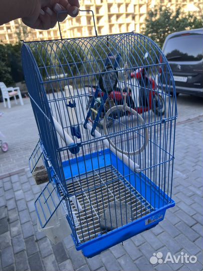 Клетка для попугая
