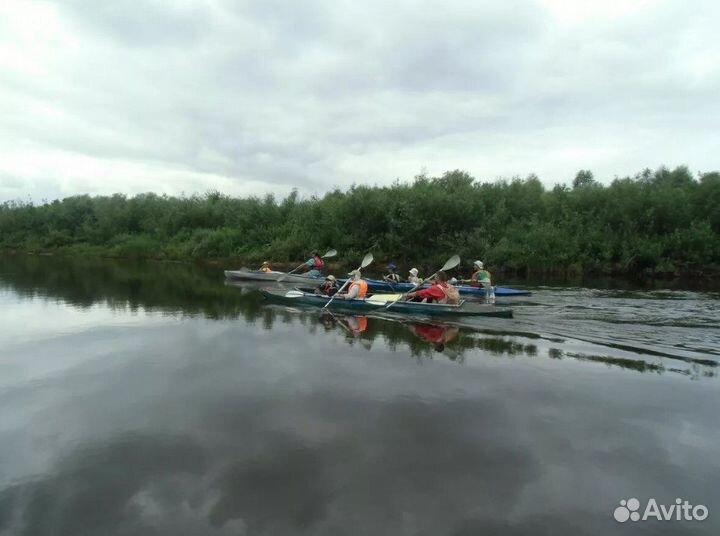 Аренда микроавтобуса с водителем