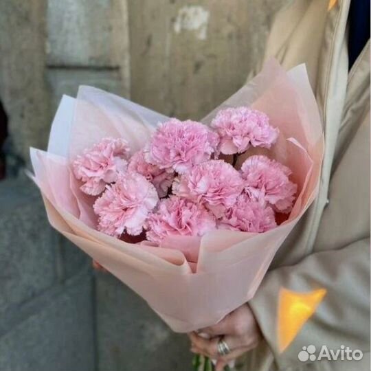 Букет комплимент из гвоздик Доставка