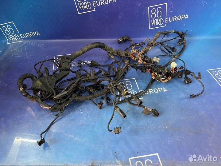 Проводка двс Bmw X6 E71 N63B44 2008