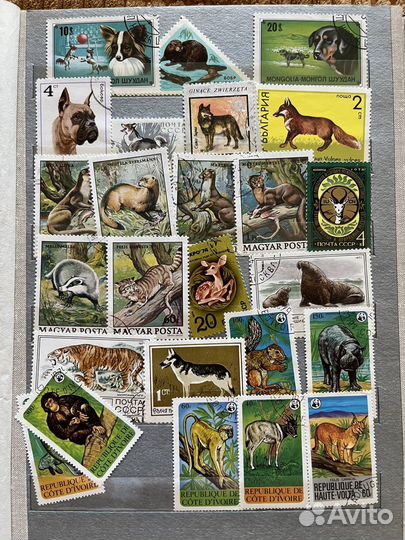 Почтовые марки СССР и др. стран. 