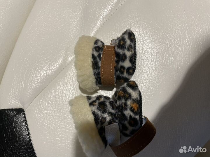 Ботинки для маленьких собак