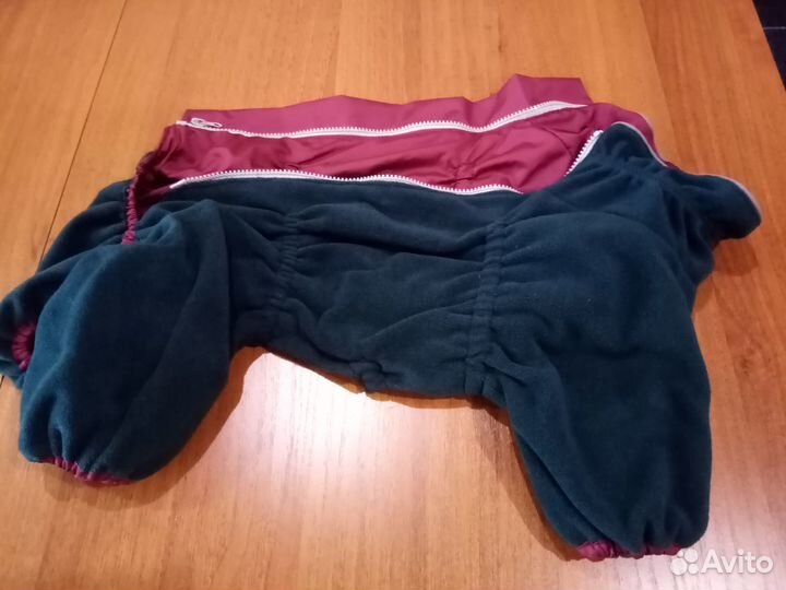 Одежда для собак