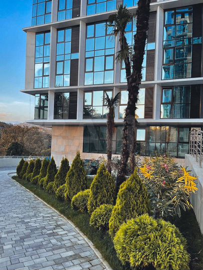 Квартира-студия, 24,1 м², 8/19 эт.