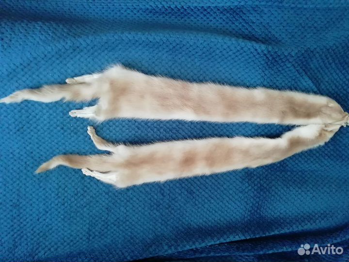 Шкурка животного норка (чулок)