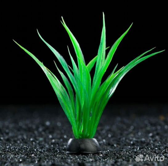 Набор аквариумных растений