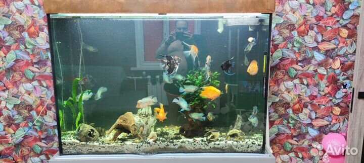Аквариум