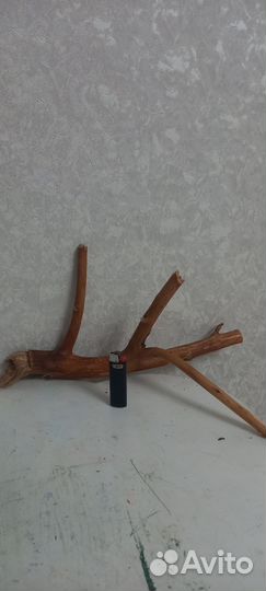 Коряги для аквариума