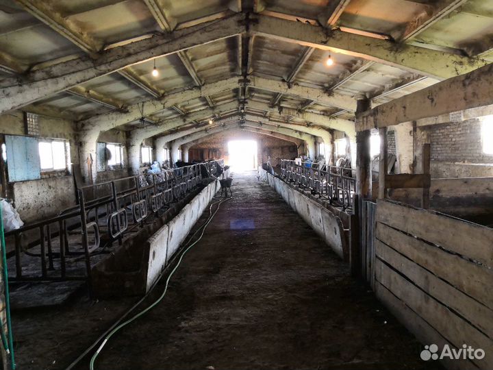 Фермерское хозяйство с техникой