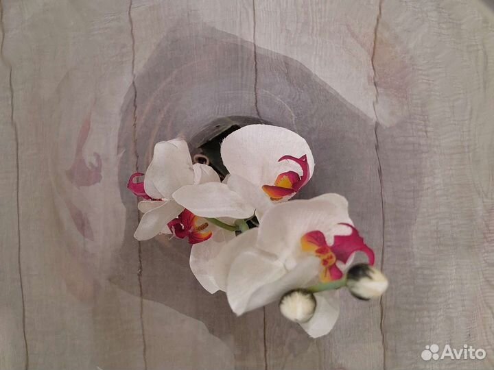 Орхидея в вазе