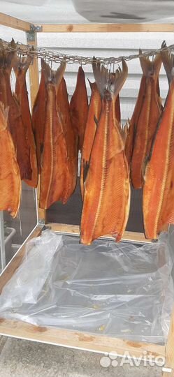 Рыба холодного копчения кета