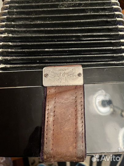 Баян тульский