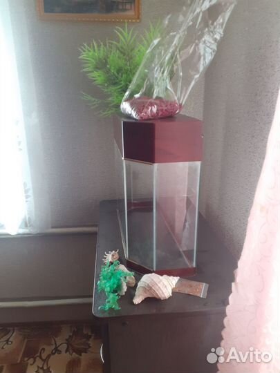 Аквариум