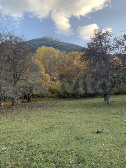 Участок 2,5 га (ИЖС)