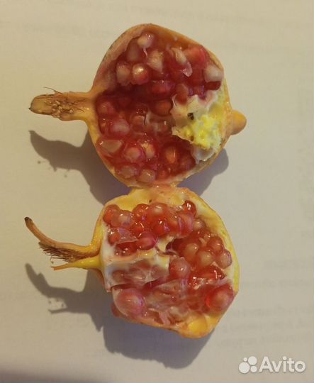 Семена комнатного, карликового граната