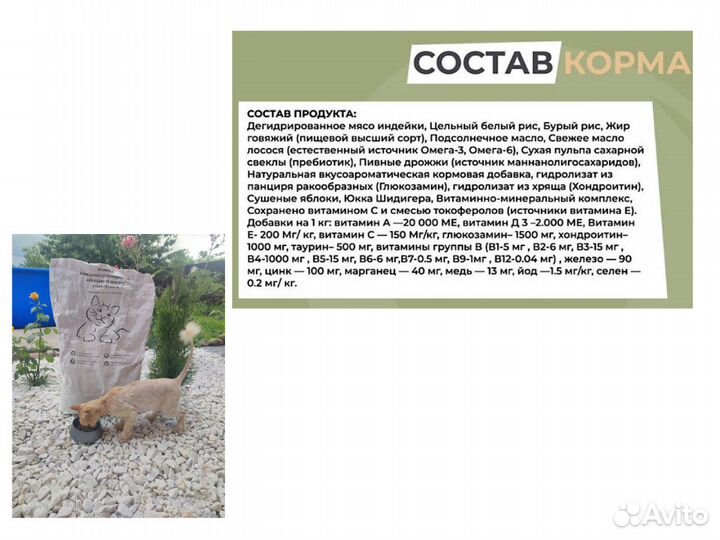 Сухой корм для кошек Променад