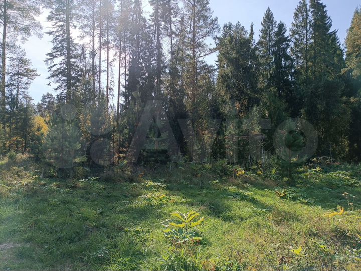 Участок 17,7 сот. (ИЖС)