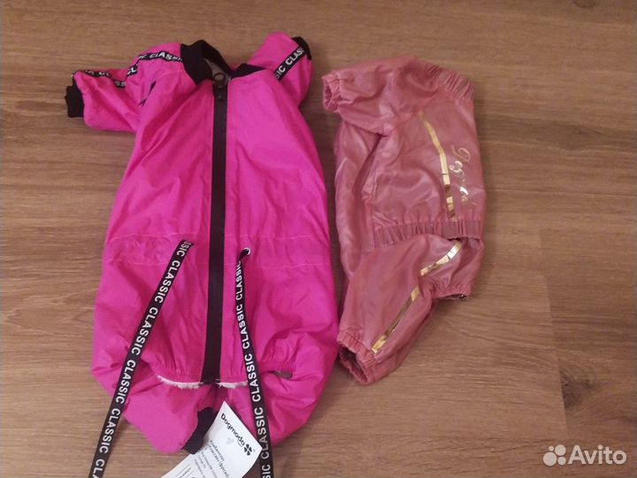 Одежда для собак