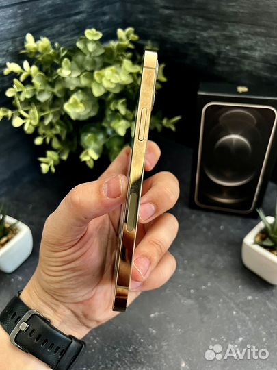 iPhone 12 Pro, 128 ГБ