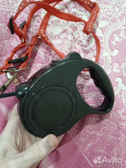 Поводок-рулетка для мелких пород собак