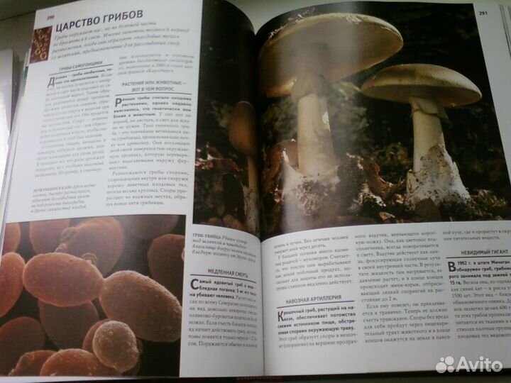 1000 чудес природы