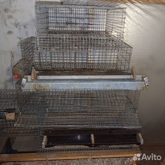 Клетки для перепелов бу