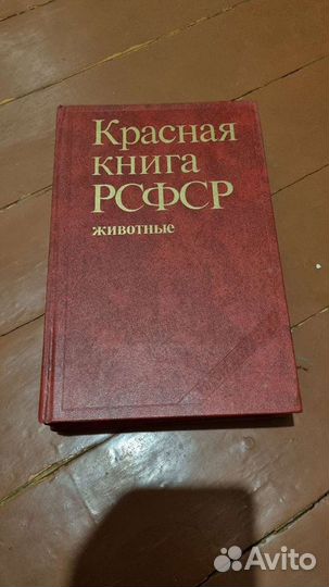 Кгиги
