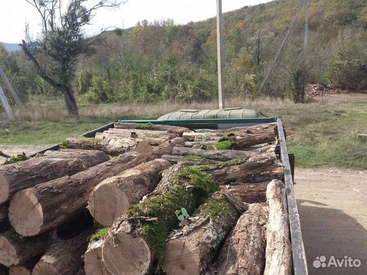 Дрова/перегной