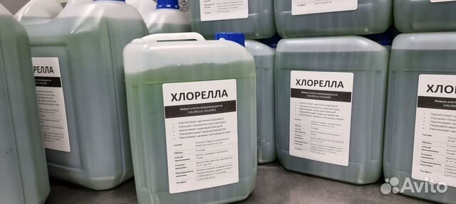 Хлорелла для водоемов