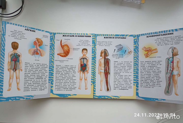 Атлас Тело человека