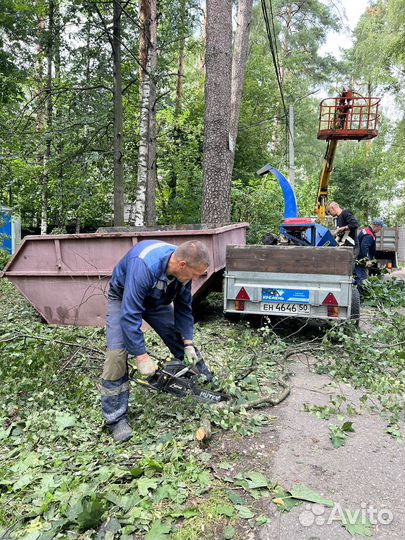 Измельчитель веток аренда дробилки