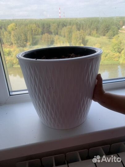 Горшок для цветов