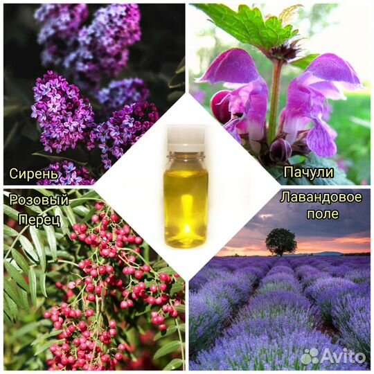 Отдушки Kema Франция Россия 10/50мл универсальные