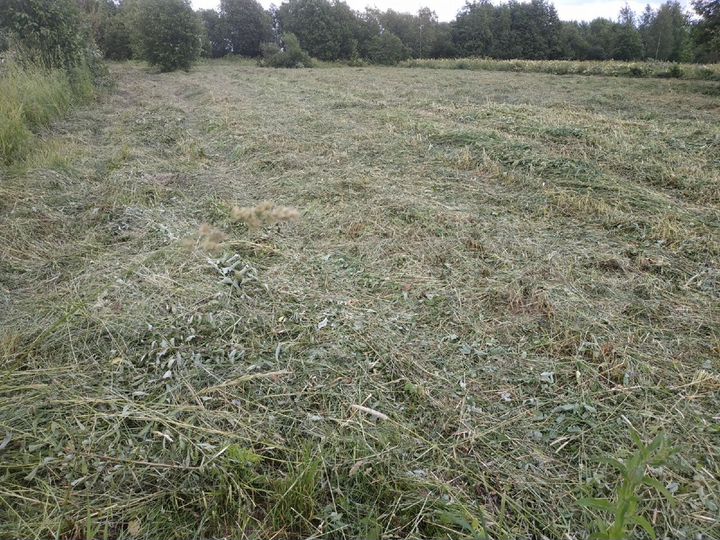 Участок 22,6 сот. (ИЖС)