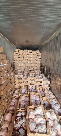 Мясо птицы курица бройлер