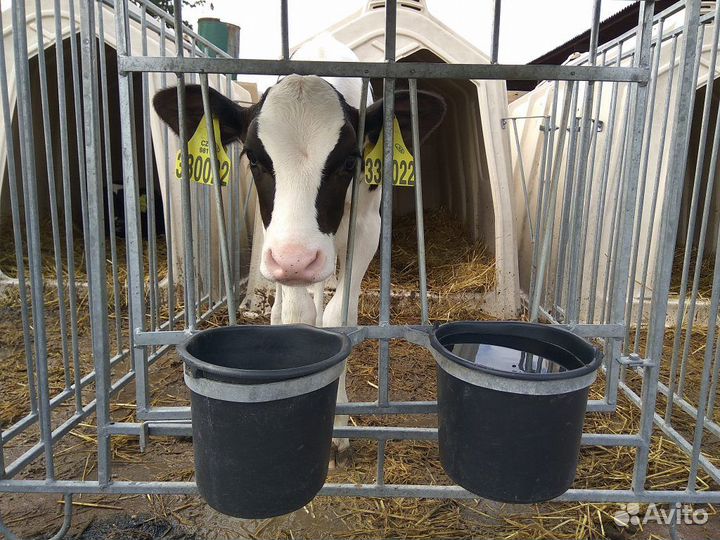 Рабочие по уходу за животными(питание/проживание)