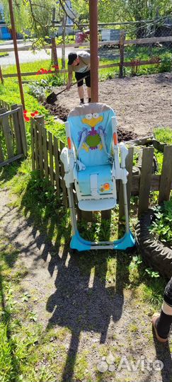 Отдам бесплатно