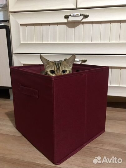 Коробка скубб IKEA