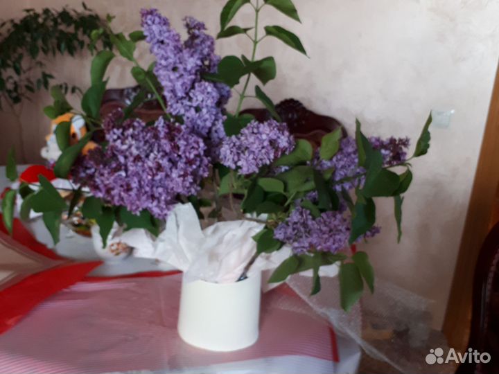 Букеты сирени, пионы, тюльпаны