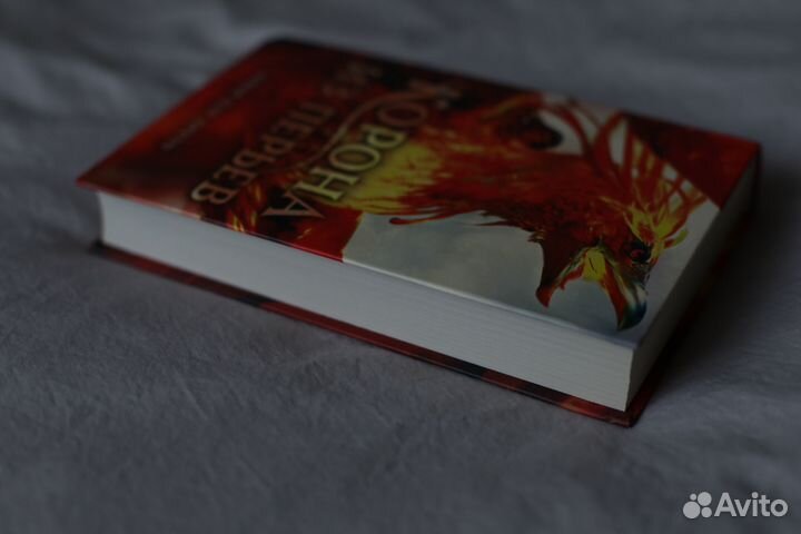 Корона из перьев Ники Пау Прето