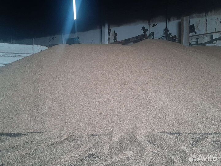 Зерно пшеница ячмень